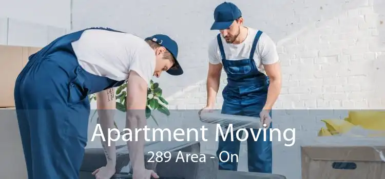 Apartment Moving 289 Area - On
