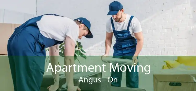 Apartment Moving Angus - On