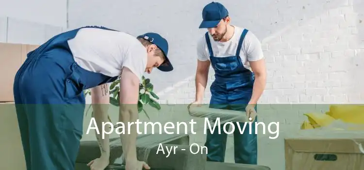 Apartment Moving Ayr - On