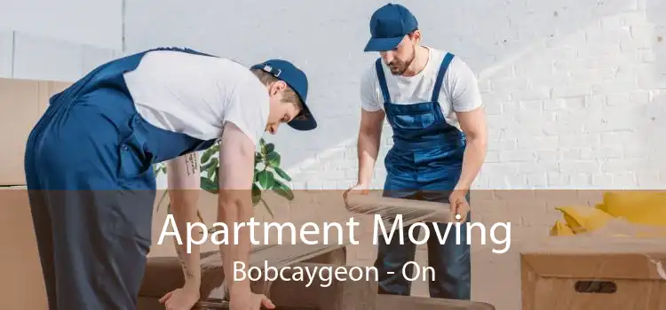 Apartment Moving Bobcaygeon - On