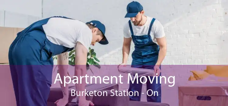 Apartment Moving Burketon Station - On