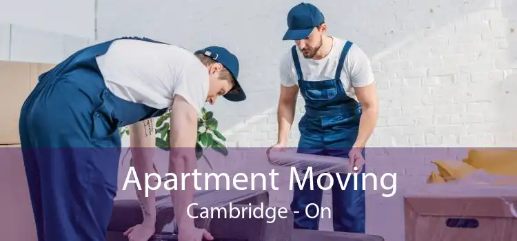 Apartment Moving Cambridge - On