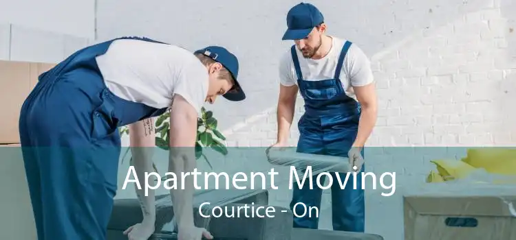 Apartment Moving Courtice - On