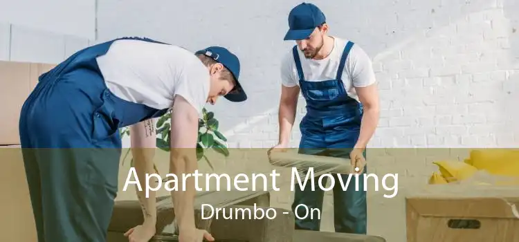 Apartment Moving Drumbo - On