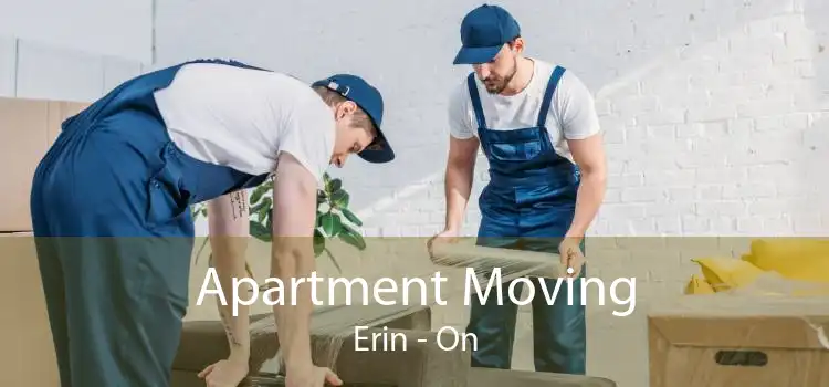 Apartment Moving Erin - On