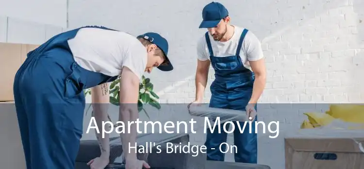 Apartment Moving Hall's Bridge - On