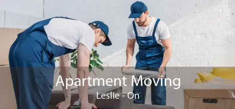 Apartment Moving Leslie - On
