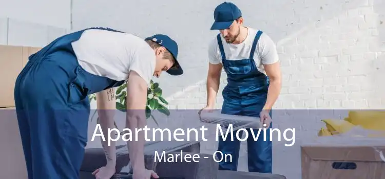 Apartment Moving Marlee - On