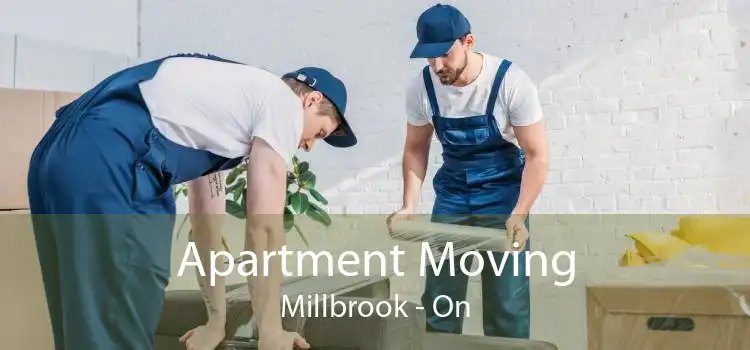 Apartment Moving Millbrook - On