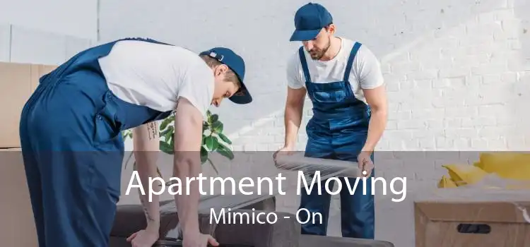Apartment Moving Mimico - On