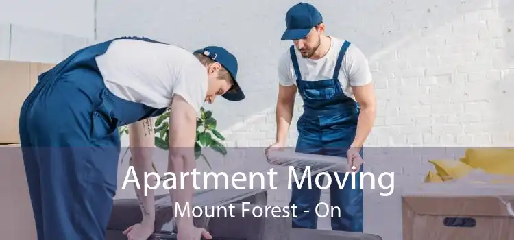 Apartment Moving Mount Forest - On