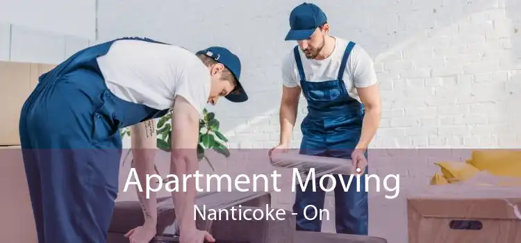 Apartment Moving Nanticoke - On