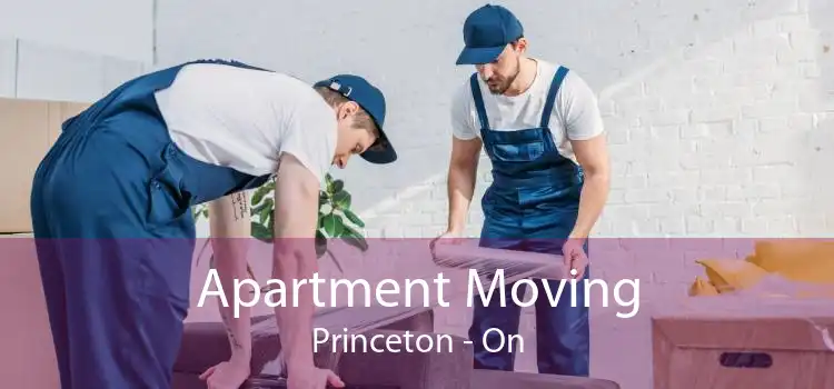 Apartment Moving Princeton - On