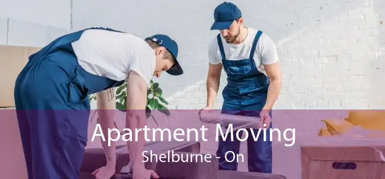 Apartment Moving Shelburne - On