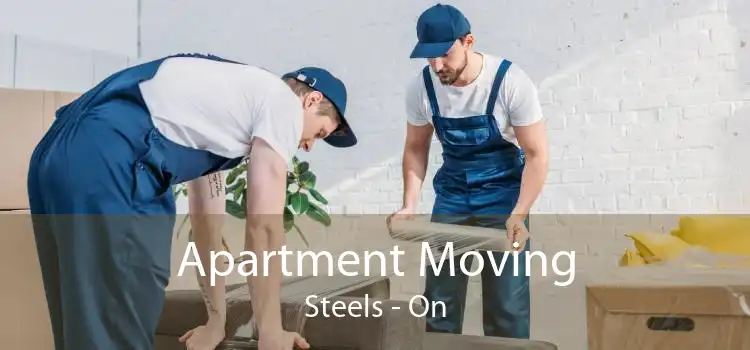 Apartment Moving Steels - On