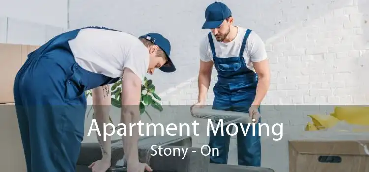 Apartment Moving Stony - On