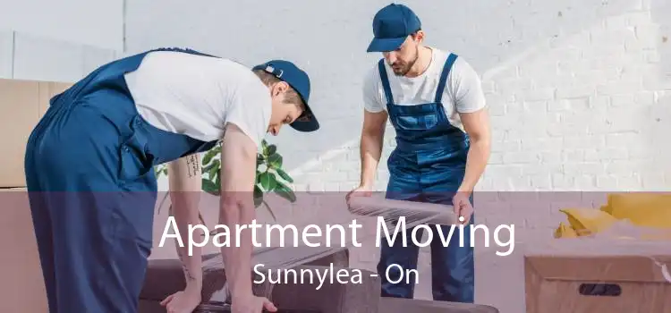 Apartment Moving Sunnylea - On