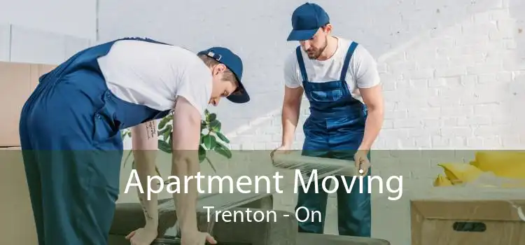 Apartment Moving Trenton - On