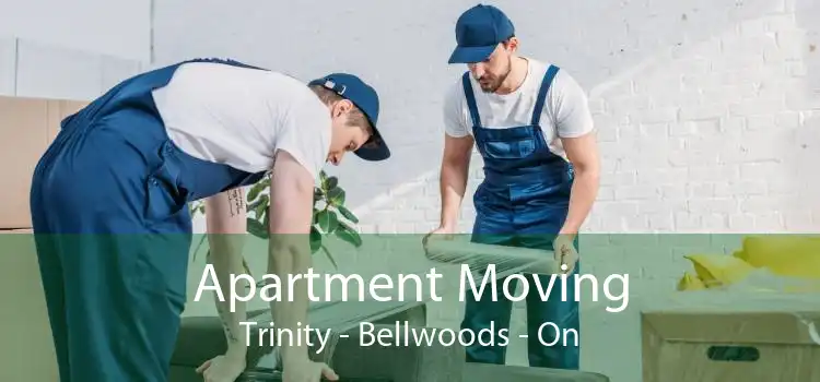 Apartment Moving Trinity - Bellwoods - On