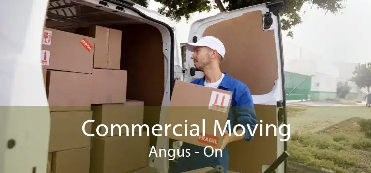 Commercial Moving Angus - On