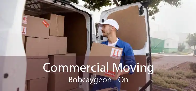 Commercial Moving Bobcaygeon - On