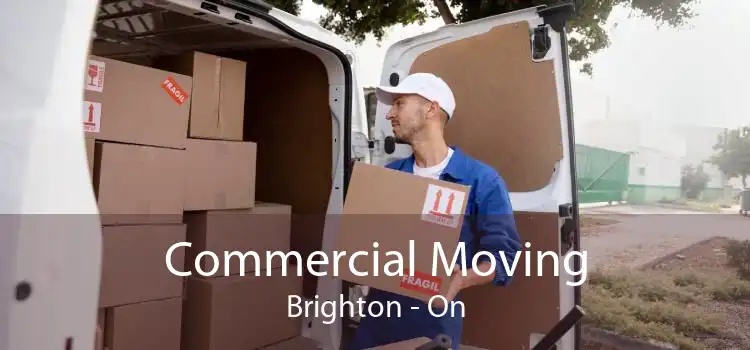 Commercial Moving Brighton - On