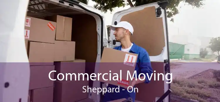 Commercial Moving Sheppard - On
