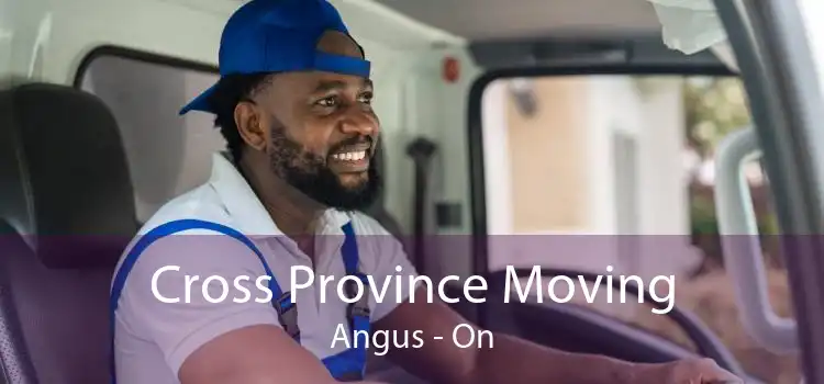 Cross Province Moving Angus - On