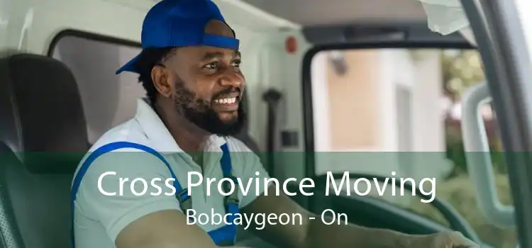 Cross Province Moving Bobcaygeon - On