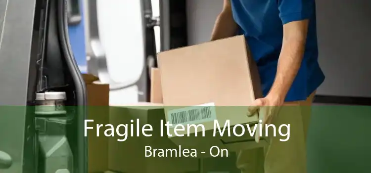 Fragile Item Moving Bramlea - On