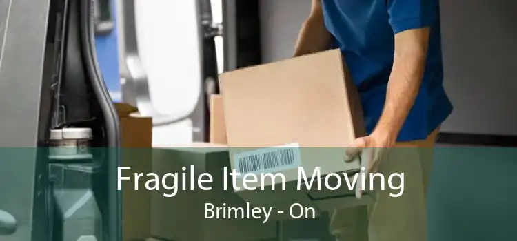 Fragile Item Moving Brimley - On