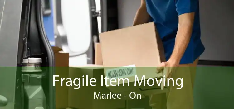 Fragile Item Moving Marlee - On