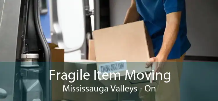 Fragile Item Moving Mississauga Valleys - On