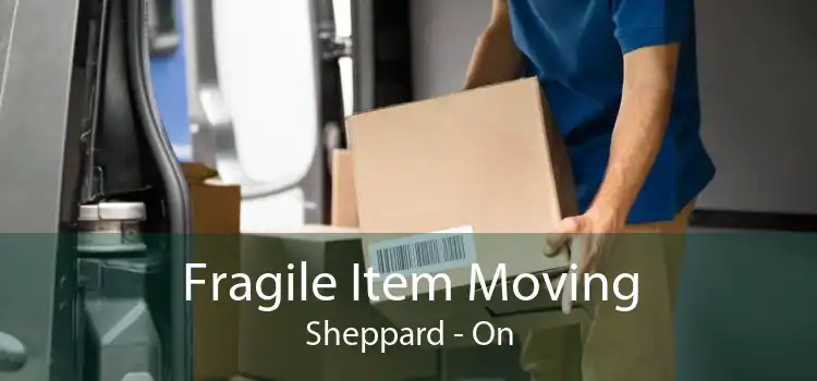 Fragile Item Moving Sheppard - On