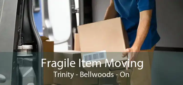 Fragile Item Moving Trinity Bellwoods - On