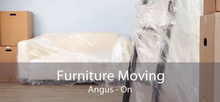 Furniture Moving Angus - On