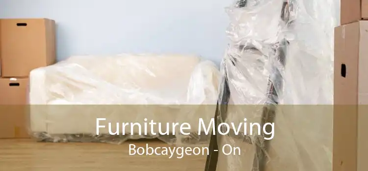 Furniture Moving Bobcaygeon - On