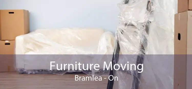 Furniture Moving Bramlea - On