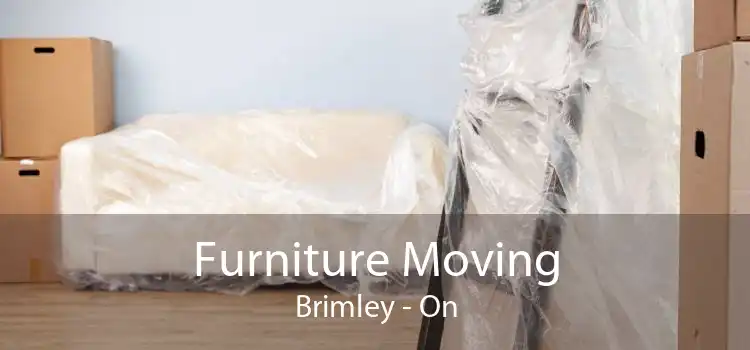 Furniture Moving Brimley - On