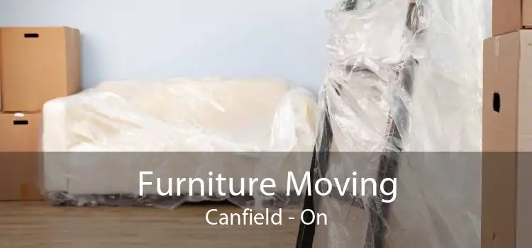 Furniture Moving Canfield - On