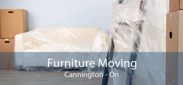 Furniture Moving Cannington - On