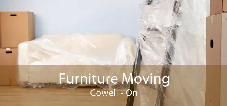 Furniture Moving Cowell - On
