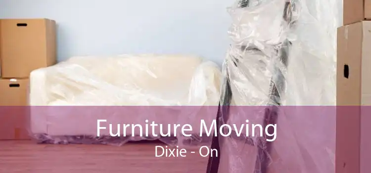 Furniture Moving Dixie - On