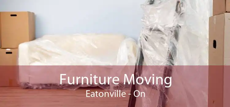 Furniture Moving Eatonville - On