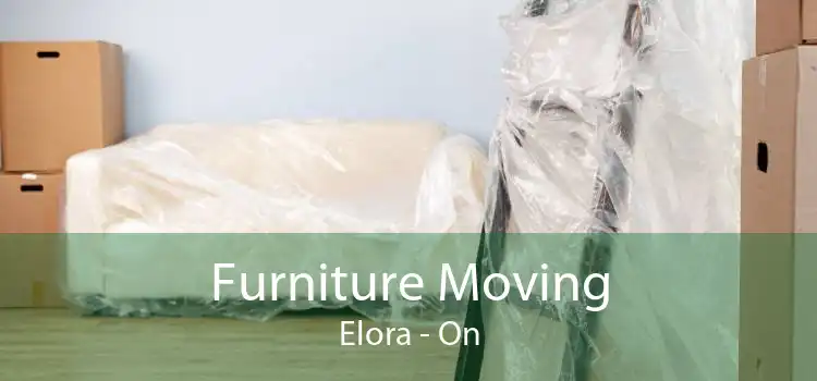 Furniture Moving Elora - On