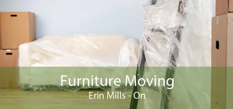 Furniture Moving Erin Mills - On
