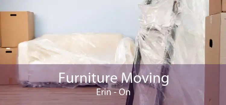 Furniture Moving Erin - On