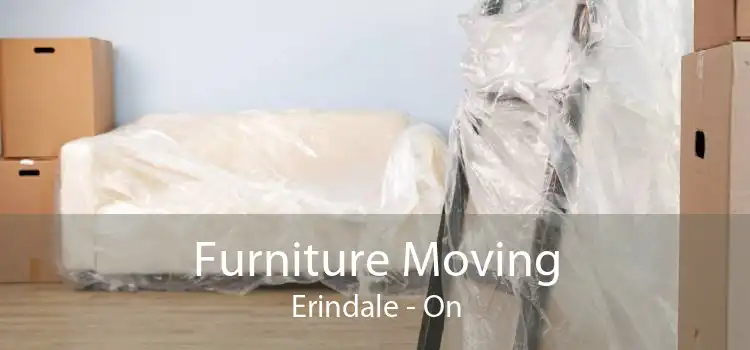 Furniture Moving Erindale - On