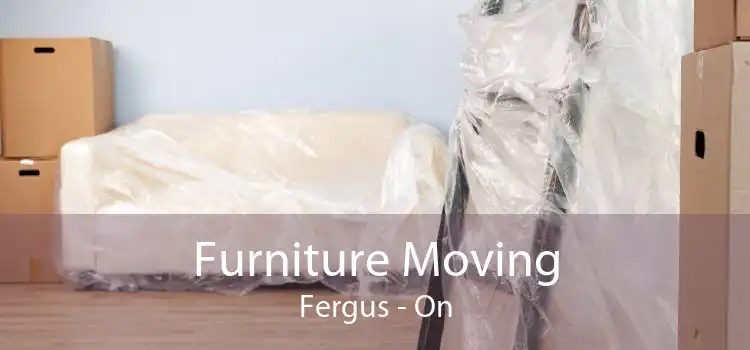 Furniture Moving Fergus - On