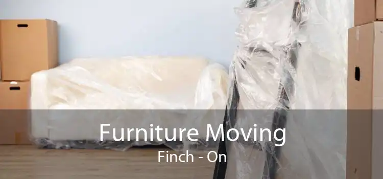 Furniture Moving Finch - On